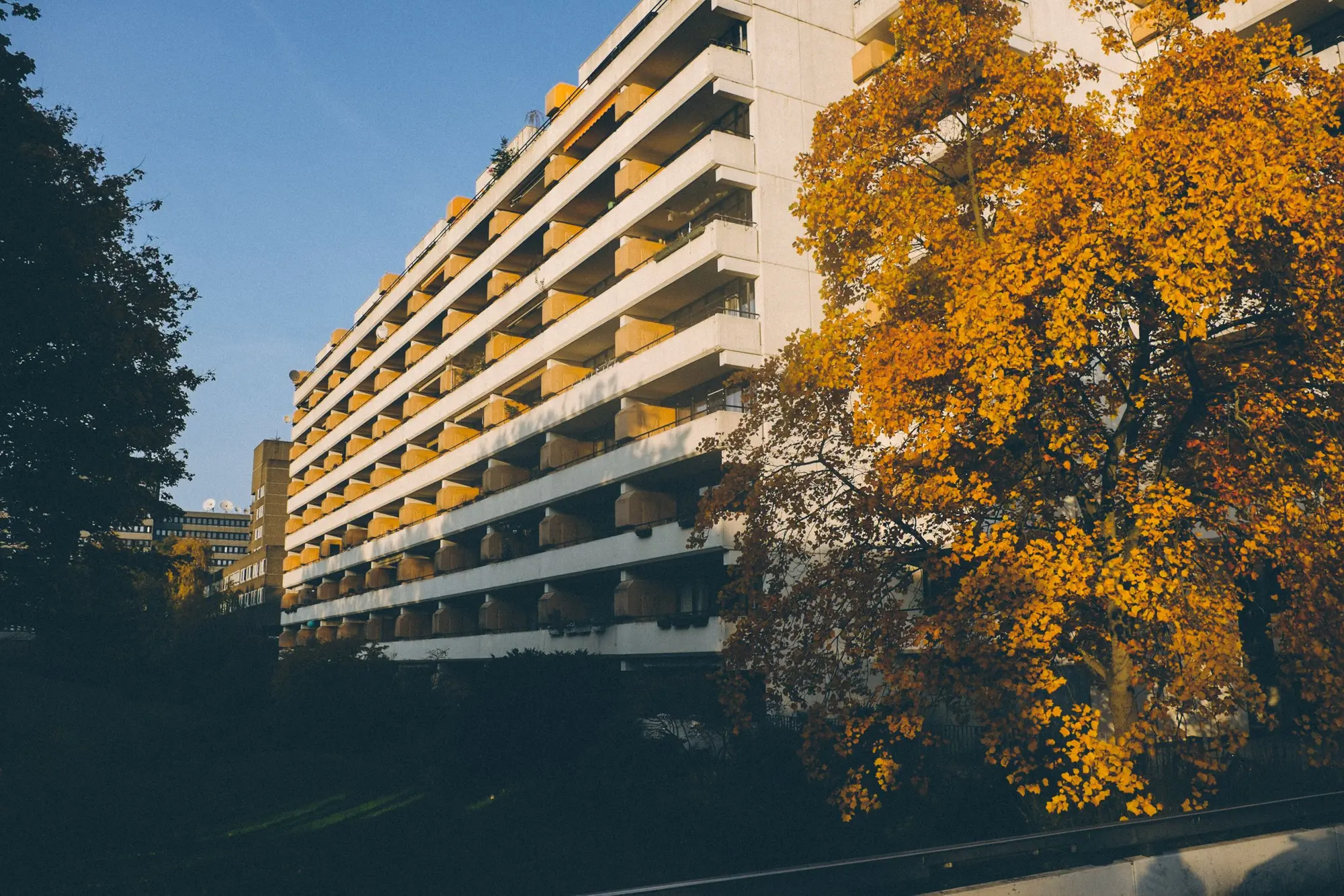 Wohnanlage im Herbstlicht